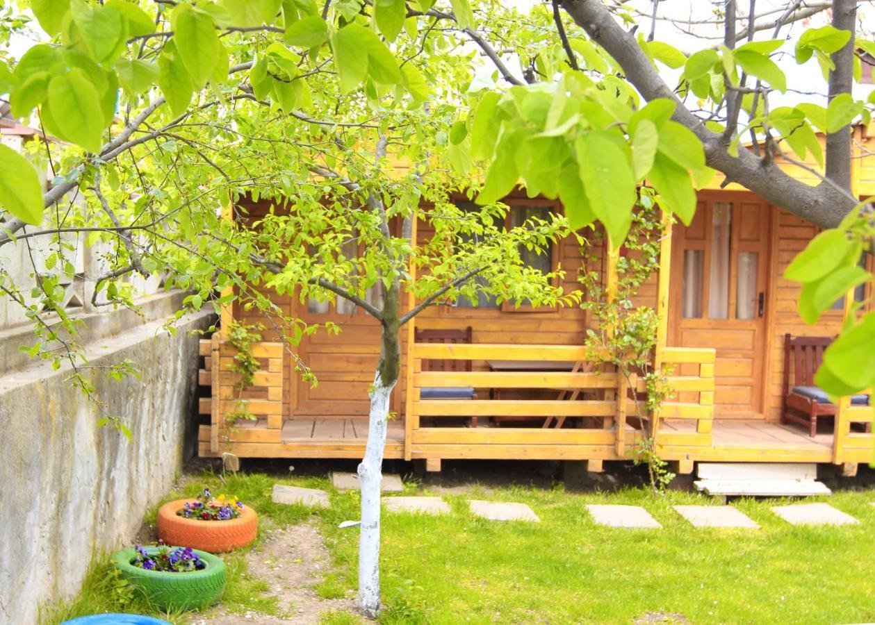 Apartamento Casa Ysa Vama Veche Exterior foto