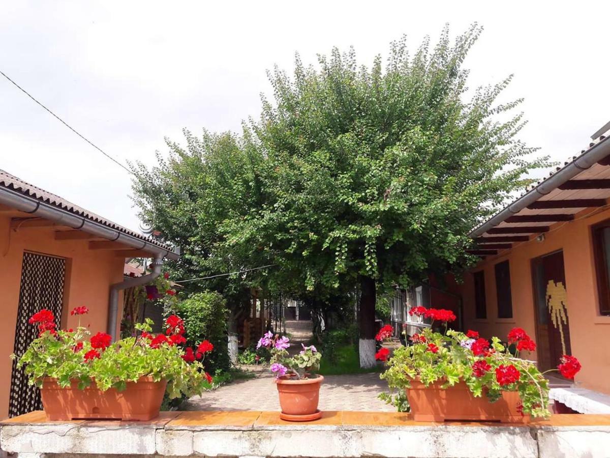 Apartamento Casa Ysa Vama Veche Exterior foto